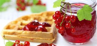 17 easy recipes for making red currant jam for the winter