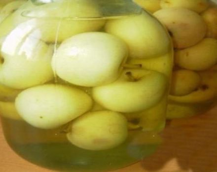 Step-by-step recipe for cooking unripe apple compote for the winter