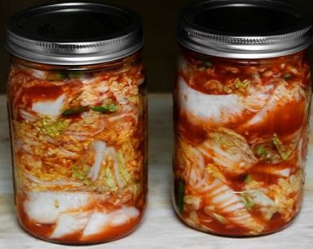 TOP 11 delicious recipes for canning cabbage for the winter in jars