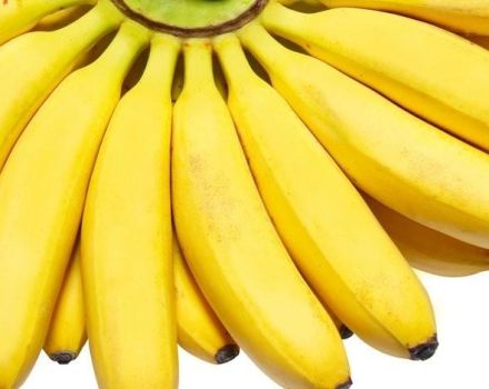 10 meilleures recettes de banane étape par étape pour l'hiver