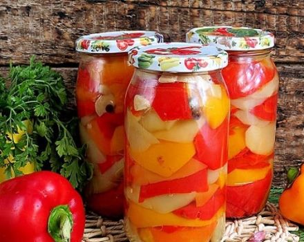 Step-by-step recipes for making peppers in honey at home for the winter