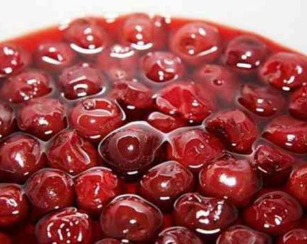 TOP 4 des recettes simples pour faire des cerises marinées pour l'hiver