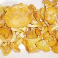 The best recipes on how to properly freeze chanterelles fresh for the winter at home