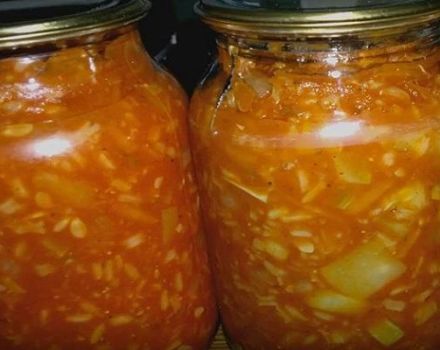 9 resipi terbaik untuk memasak tomato dengan nasi untuk musim sejuk