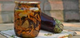 TOP 5 recetas rápidas para cocinar berenjenas en escabeche con ajo para el invierno