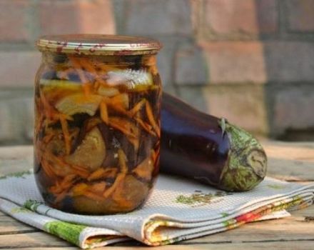 TOP 5 quick recipes for cooking eggplant pickled with garlic for the winter