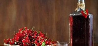 TOP 2 recipes for making wine from raspberries and currants at home