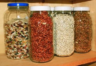 How to store beans correctly at home so that bugs don't start