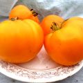 Characteristics and description of the tomato variety Orange Strawberry German, its yield