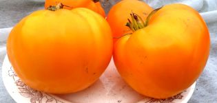 Características y descripción de la variedad de tomate Orange Strawberry German, su rendimiento