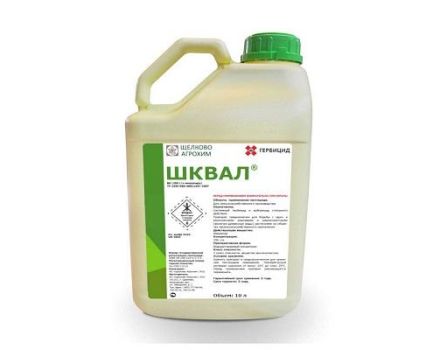 Instructions pour l'utilisation de l'herbicide Shkval et taux de consommation