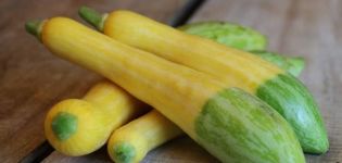 Description of the zucchini variety Gentle marshmallow, features of growing and care