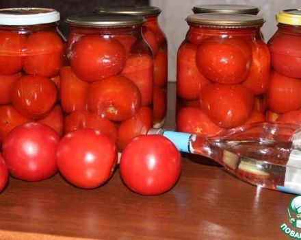 TOP 3 des recettes étape par étape pour faire des tomates ivres pour l'hiver