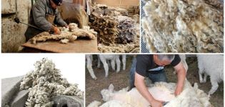 What can be made from sheep wool, types and classification of fibers