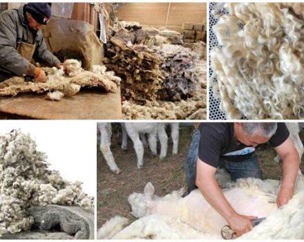 What can be made from sheep wool, types and classification of fibers