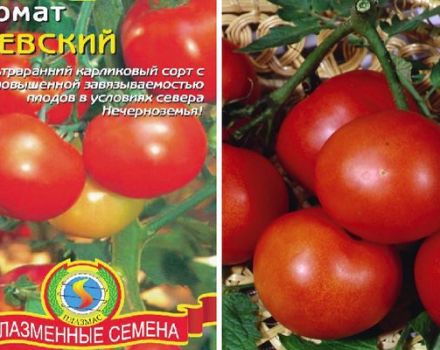 Description de la variété de tomate Nevsky, ses caractéristiques et son entretien