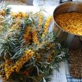 13 best step-by-step recipes for preparing sea buckthorn blanks for the winter