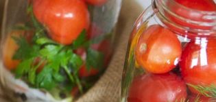 TOP 11 recipes for pickling tomatoes with cloves for the winter