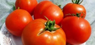 Characteristics and description of the Labrador tomato variety, its yield