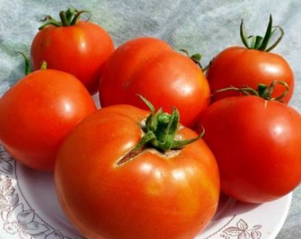 Características y descripción de la variedad de tomate Labrador, su rendimiento.