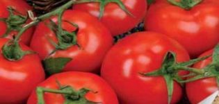 Description of tomato variety Katrina f1 and its characteristics