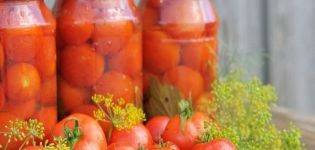 10 meilleures recettes pour faire des tomates douces marinées pour l'hiver