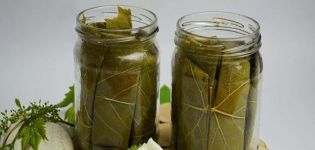 TOP 3 recetas de pepinos encurtidos en agua de manantial para el invierno