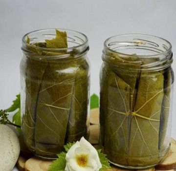 TOP 3 recipes for pickled cucumbers in spring water for the winter