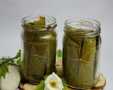 TOP 3 recipes for pickled cucumbers in spring water for the winter