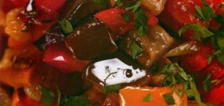 TOP 3 recipes for cooking eggplant with peppers and tomatoes for the winter