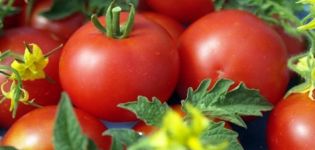 Ciri-ciri dan penerangan mengenai varieti tomato Jane