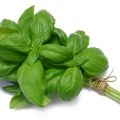 TOP 10 resipi untuk cara menyediakan basil dengan betul untuk musim sejuk di rumah