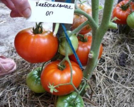 Características y descripción de la variedad de tomate Khlebosolny, su rendimiento.