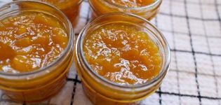 Recette étape par étape pour faire de la confiture de pommes sans sucre pour l'hiver