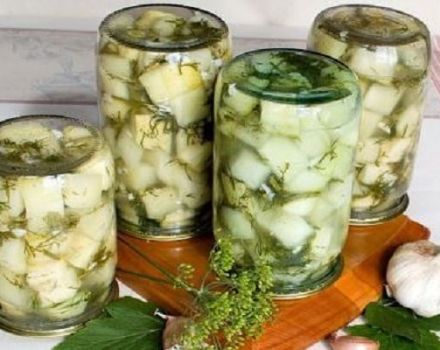 TOP 10 des recettes pas à pas pour cuisiner des courgettes, comme des champignons pour l'hiver, avec et sans stérilisation