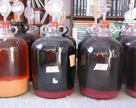 Température pour une fermentation silencieuse du vin à la maison, avez-vous besoin d'un joint d'eau