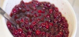 17 best recipes for making red currants for the winter