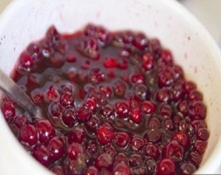 17 best recipes for making red currants for the winter