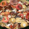 12 resipi mudah untuk membuat acar russula untuk musim sejuk di rumah