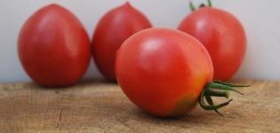 Description of the tomato variety Slavyanka, its characteristics and productivity