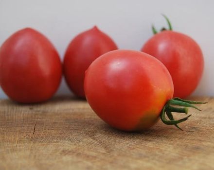 Penerangan mengenai varieti tomato Slavyanka, ciri dan produktiviti