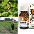 Instructions for the use of Kalash against the Colorado potato beetle