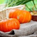 Tipos y descripción de variedades de calabaza butternut, cultivo y cuidado en campo abierto.