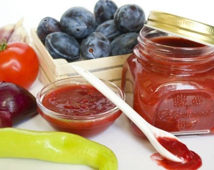 TOP 17 step-by-step cooking recipes, how to make plum tkemali for the winter