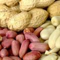 Harm and benefits of peanuts for the human body, properties and vitamins in peanuts