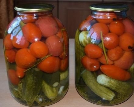 TOP 10 recetas de pepinos y tomates surtidos para el invierno