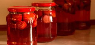 A simple recipe for making strawberry compote for the winter