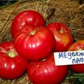 Caractéristiques et description de la variété de tomate Patte d'ours, son rendement