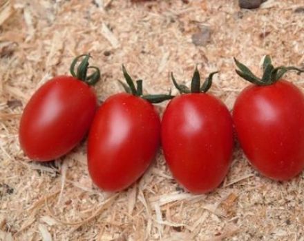 Características y descripción de la variedad de tomate Caramelo, características de la tecnología agrícola.