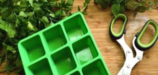 The easiest options for how you can freeze parsley for the winter in the refrigerator